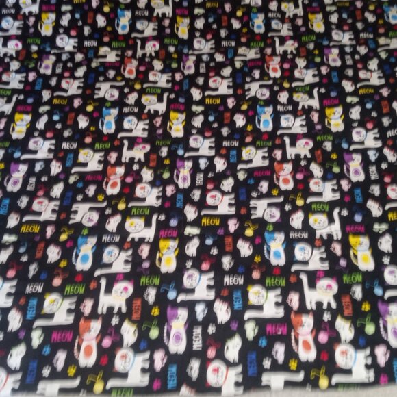 Kitty - Picture 8 of 8